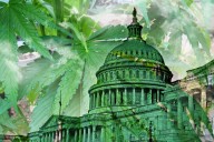 Tilray Brands: Improving Fundamentals And A Re-Igniting Narrative (NASDAQ:TLRY)