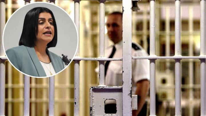 Foreign criminals to be 'deported immediately after being sentenced' to save cash under...