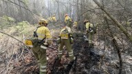 Detenido el autor de seis incendios forestales en Málaga