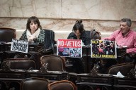 Diputados. Uno por uno, todos los temas que se votan hoy en una sesión clave