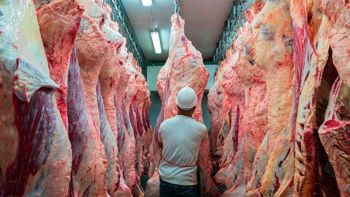Fuerte crecimiento de los alimentos argentinos en el mundo: las exportaciones subieron…