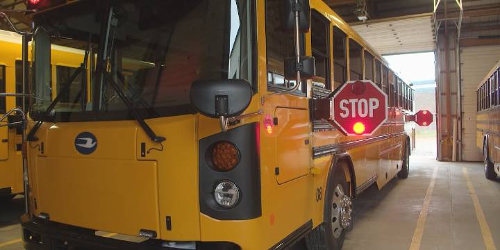 Safety rules when driving around school buses