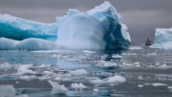 La Antártida Occidental en riesgo: el colapso de su hielo podría subir el nivel del mar e inundar ciudades costeras