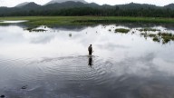 El Lago de asfalto de Guanoco: Un tesoro natural y geológico en el oriente de Venezuela #31Ago