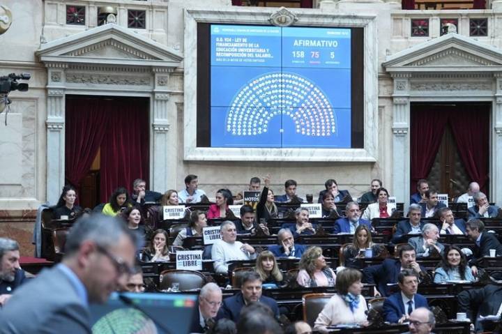 Diputados Nacionales dieron media sanción al proyecto de Ley de Financiamiento Universitario