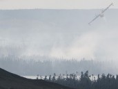 Largest wildfire in Newfoundland, Canada has destroyed up to 100 homes