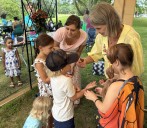 Zion festival celebrates butterflies, flowers and bees