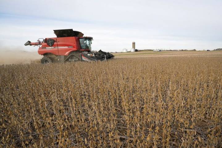 China says 'rampant' US protectionism threatens agricultural ties
