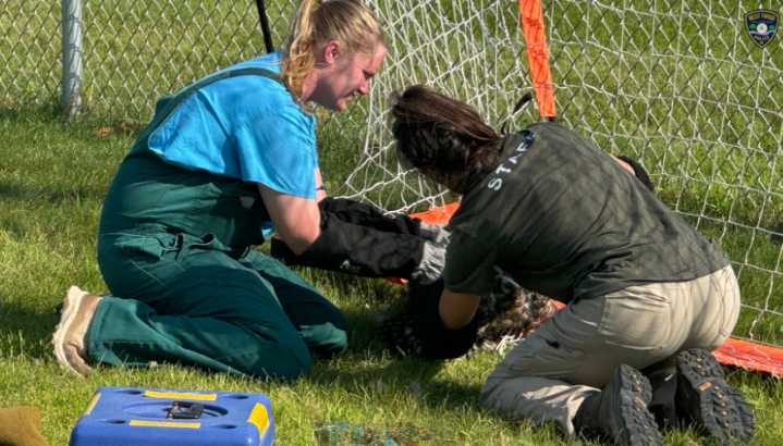 West Fargo Police Department Helps Free Owl from Soccer Net