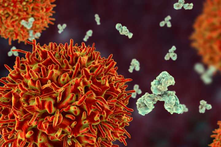 STAR T, An Allogeneic CAR T Alternative, Is Effective in Lupus Patients