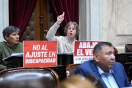 Castillo: "Con la fuerza del colectivo de discapacidad en la calle vamos a derrotar el veto de Milei"