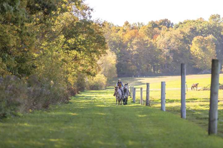 Channel Your Inner Cowboy at This Dude Ranch an Hour From Milwaukee