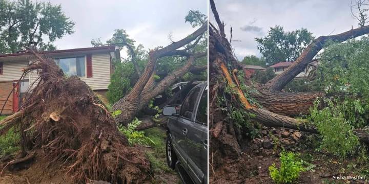 Nearly 300 without power near Airport and Chelton