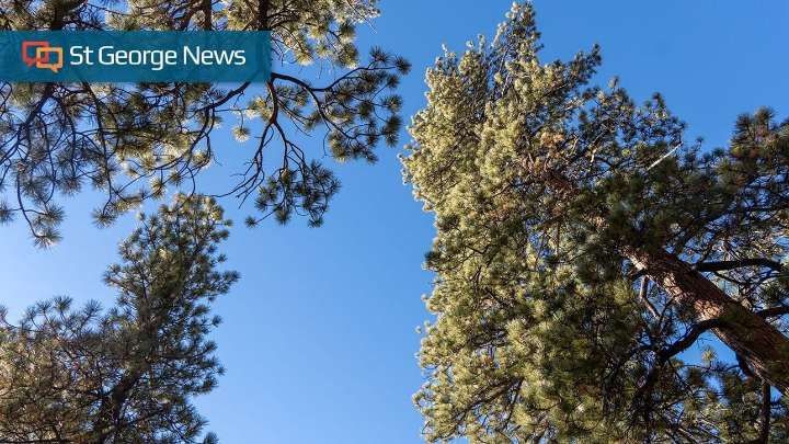 Federal Roadless Rule proposal could bring change to Southern Utah's forests