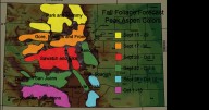 Colorado's fall colors for 2025 where, when it's best to see