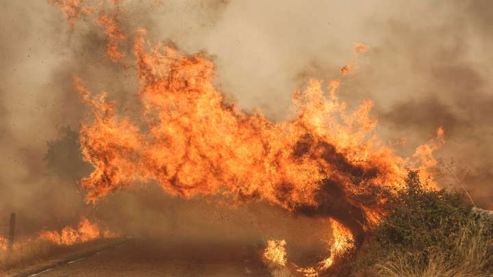 España arde, con 19 incendios activos, 112.000 hectáreas quemadas y cientos de personas evacuadas