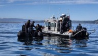 Naufragio en Magallanes: sobreviviente dio pista clave para hallar a otros desaparecidos