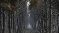 Desalojado el valle de Valdeón en la vertiente leonesa de Picos de Europa por un incendio
