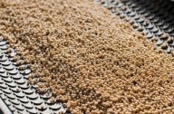 EE.UU. amenaza exportaciones argentinas de harina de soja