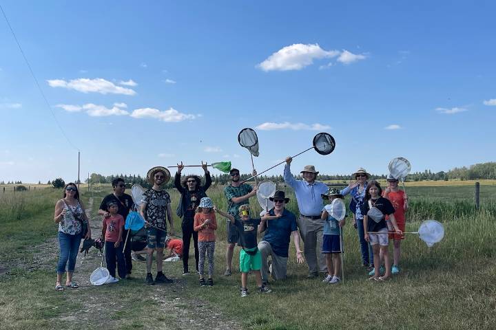 Bug Jamboree happing at Ellis Nature Centre