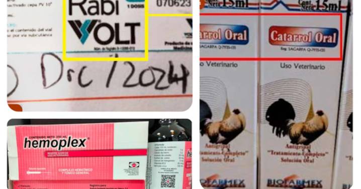 Senasica emite alerta por medicamentos veterinarios falsos en México