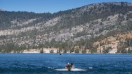 California resident catches the plague, likely from infected flea at Lake Tahoe, officials say