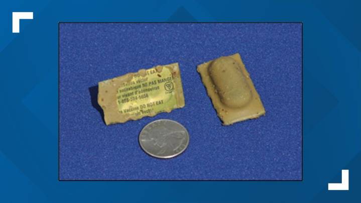 Erie County distributing bait with rabies vaccine in August