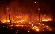 España arde por la peor ola de incendios forestales del siglo