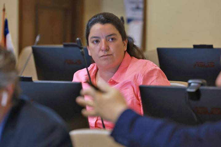 Diputada Natalia Romero «Corresponde que se realice una investigación seria y se esclarezca el origen de esta tragedia»