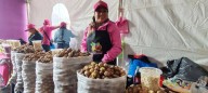 Celebra Amecameca el éxito de la Feria de la Nuez de Castilla