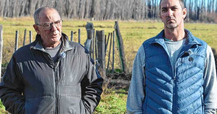 Dejaron la fruticultura en el Alto Valle por consejo médico y hoy son exitosos ganaderos en el Valle Inferior