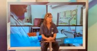Emergencia sanitaria: lanzan un kit rápido para detectar Chagas en bebés recién nacidos
