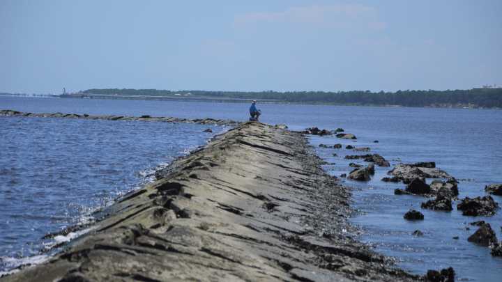 See why Zeke's Island Reserve is one of NC's 'most…