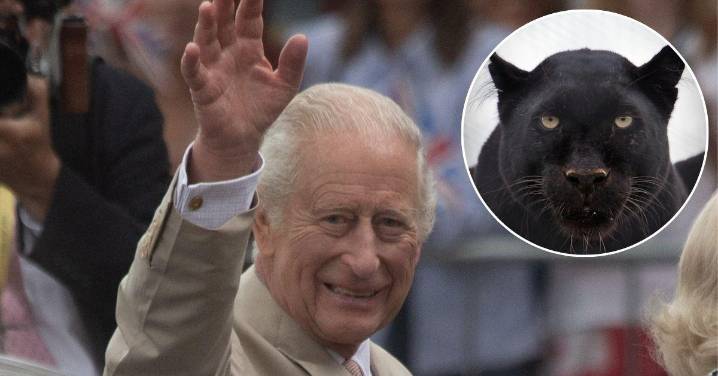 EXCLUSIVE: The King's Terror After Big Cat 'Beast' Stalked Royal Estate