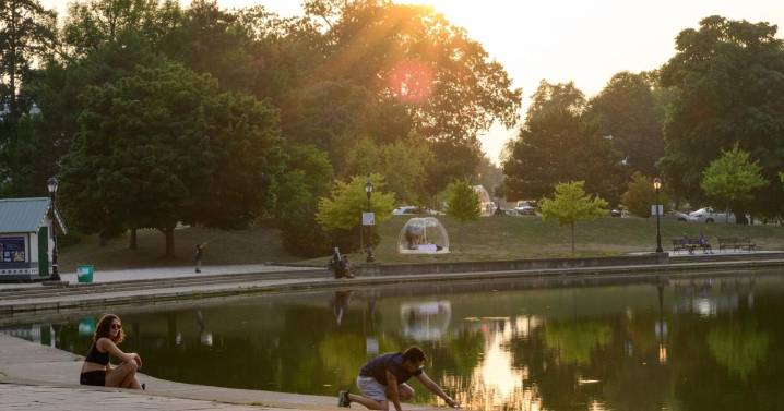 Letter: Hoyt Lake could use some water plants