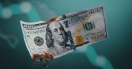 Las claves de la economía hasta las elecciones: qué pasará con tasas, dólar, inflación y salarios