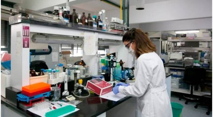 Científicos del Conicet recibieron un importante subsidio para desarrollar terapias contra el cáncer: de qué se trata