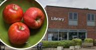 Youths accused of throwing apples at heads of punters from roof of library in Isaac Newton