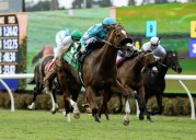 Thought Process among the horses to watch at Saturday's Del Mar Oaks
