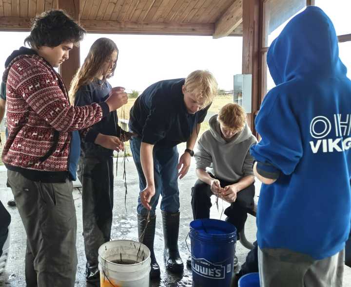 Nature Nugget: Orcas YCC dives into eelgrass restoration