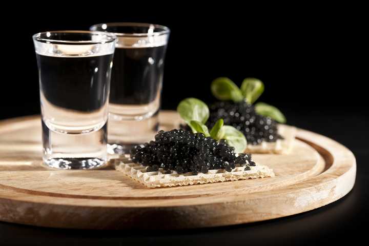 Vodka that makes an excellent aperitif