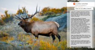 Colorado.com launches AI travel genius Colorado Concierge