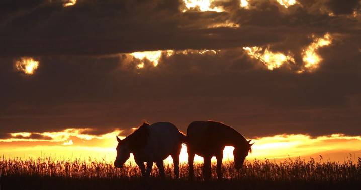 Photo: Hot weather in the forecast this week