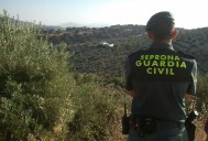Investigan a nueve personas y dos empresas en Aragón por vacunaciones irregulares de perros