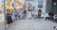 New "Can I Paint That Dog?" mural unveiled in Northern Liberties