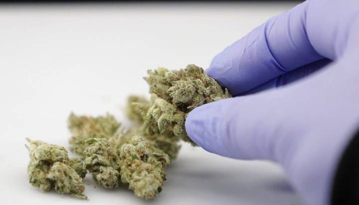 Marijuana reclassification would sprout many benefits for businesses, industry leaders say