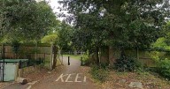 Teenage girl 'drugged and raped' in park in early morning as four men arrested