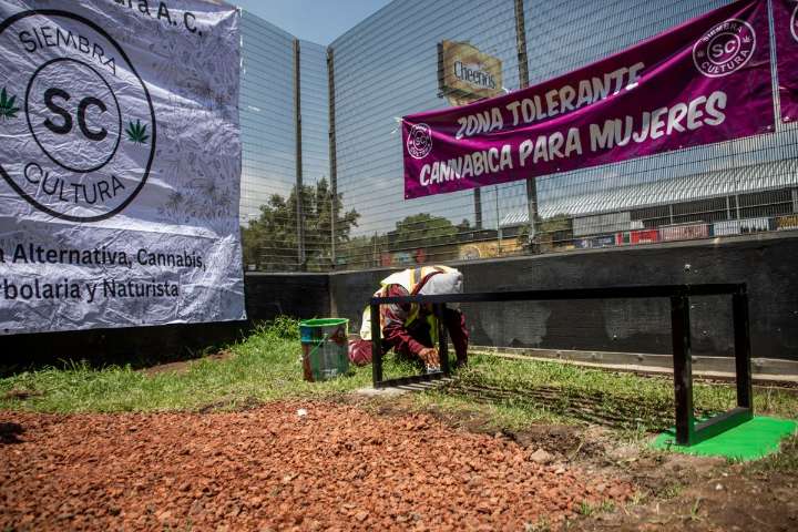 SSPC: puntos de consumo de mariguana no incrementan la delincuencia