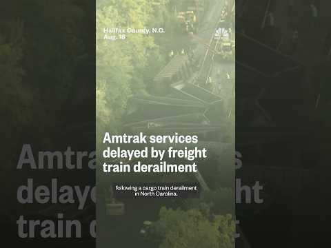 Amtrak services delayed by freight train derailment