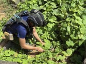 Thailand warns it may act in ‘self-defense’ after soldier hurt by a mine blast near Cambodian border
